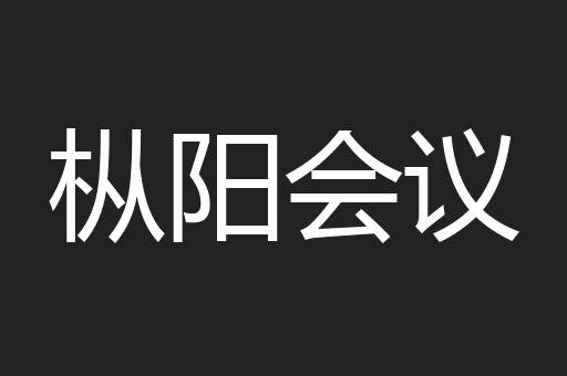 枞阳会议