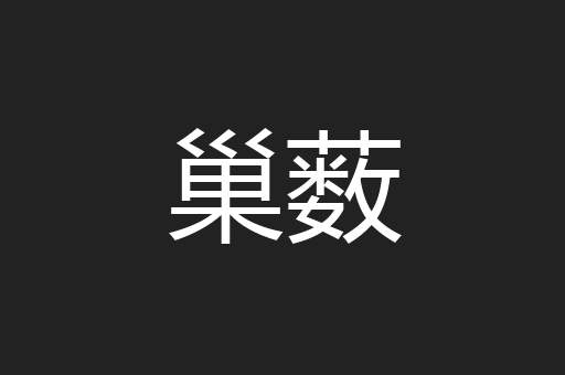 巢薮