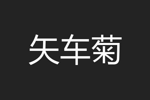 矢车菊
