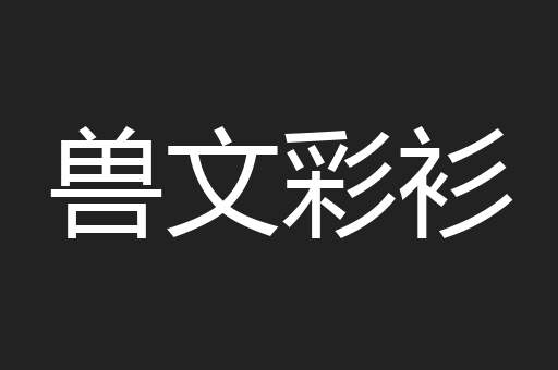 兽文彩衫