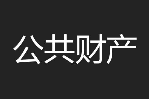公共财产
