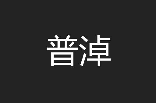普淖