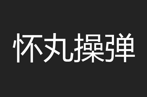 怀丸操弹