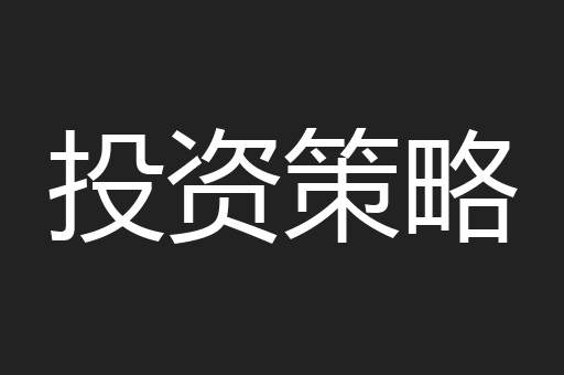 投资策略