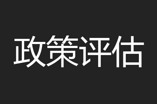 政策评估