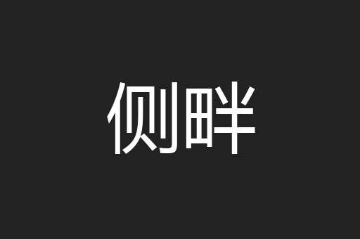 侧畔