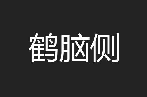 鹤脑侧