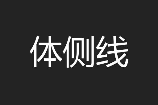 体侧线