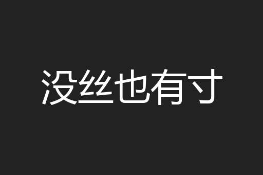 没丝也有寸