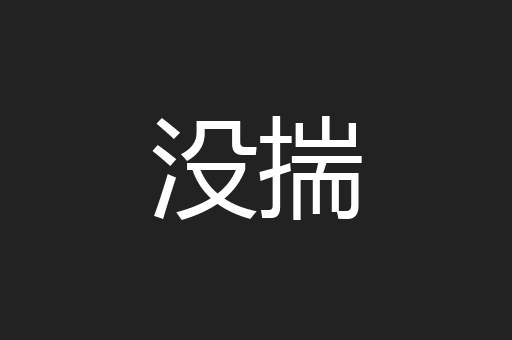 没揣