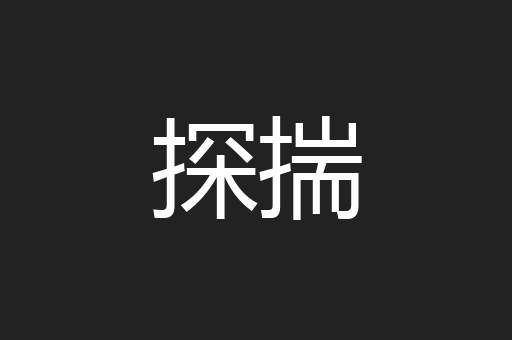 探揣