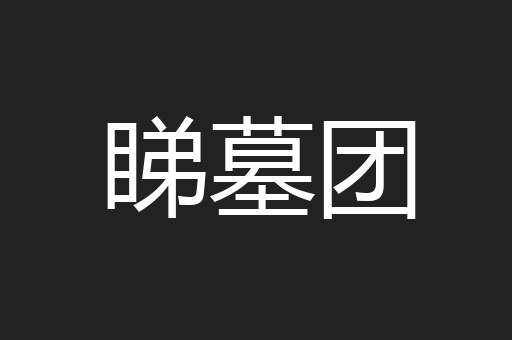睇墓团