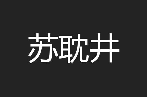 苏耽井