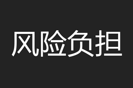 风险负担