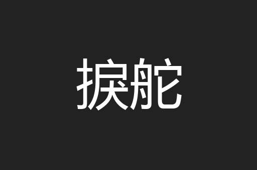 捩舵