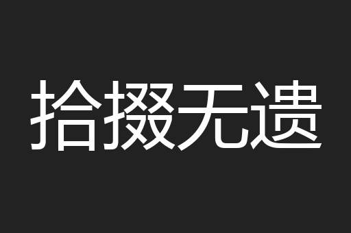 拾掇无遗