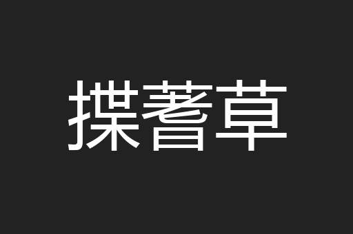 揲蓍草