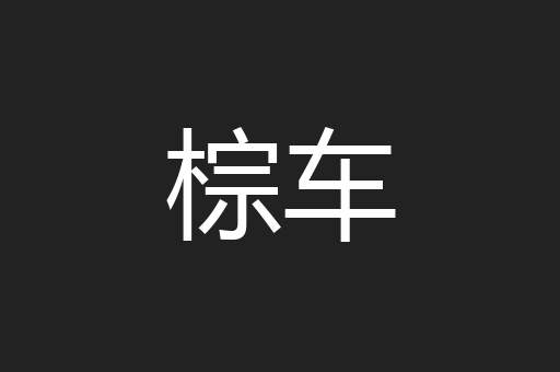 棕车