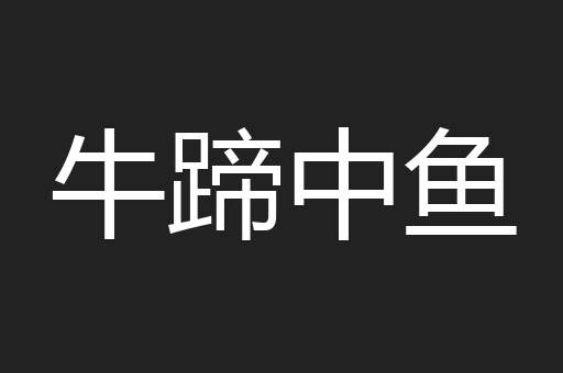 牛蹄中鱼