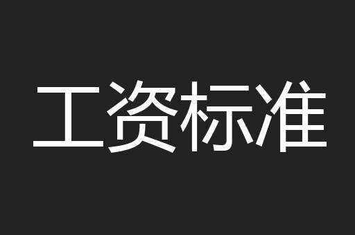 工资标准