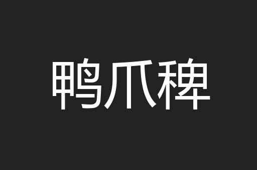 鸭爪稗
