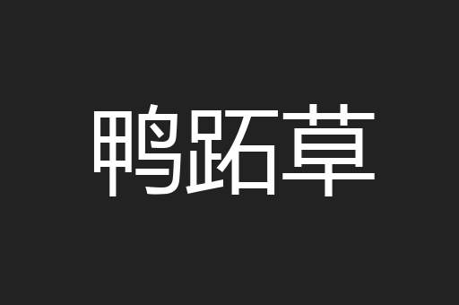 鸭跖草