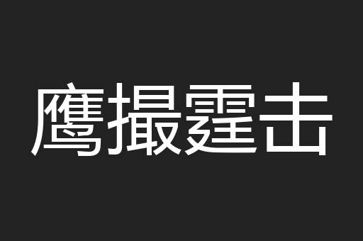 鹰撮霆击