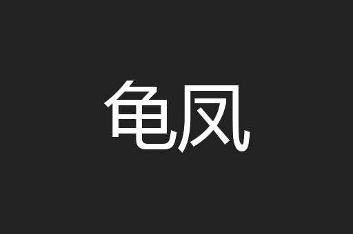 龟凤