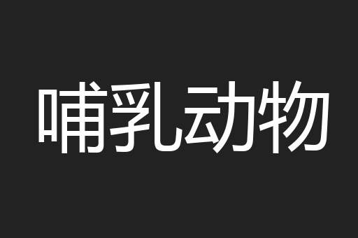 哺乳动物