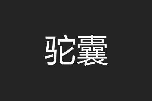驼囊
