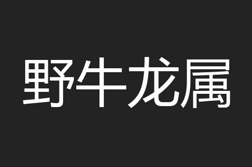 野牛龙属