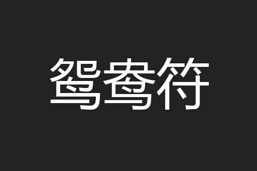 鸳鸯符