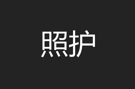 照护