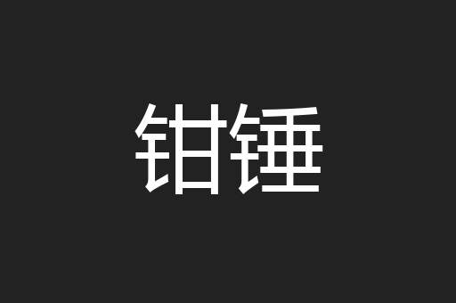 钳锤