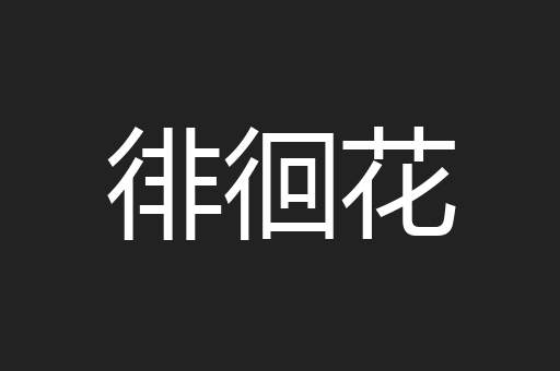 徘徊花