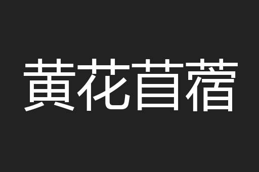 黄花苜蓿