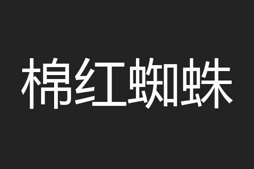 棉红蜘蛛