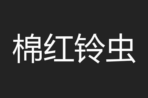 棉红铃虫