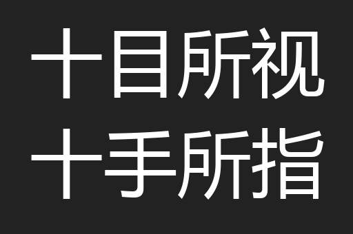 十目所视十手所指