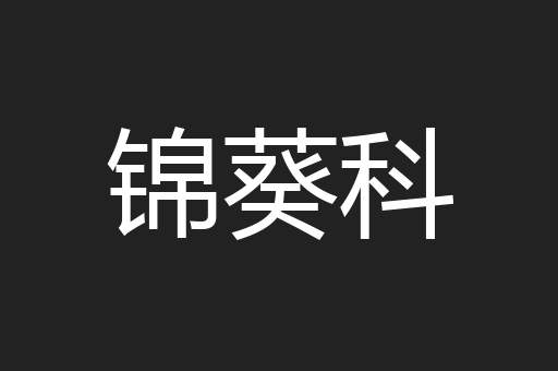 锦葵科