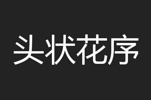 头状花序