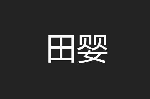 田婴