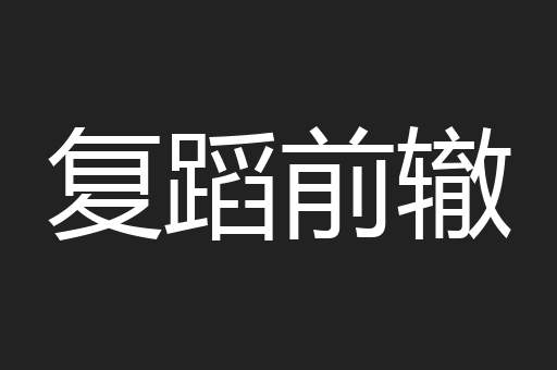 复蹈前辙