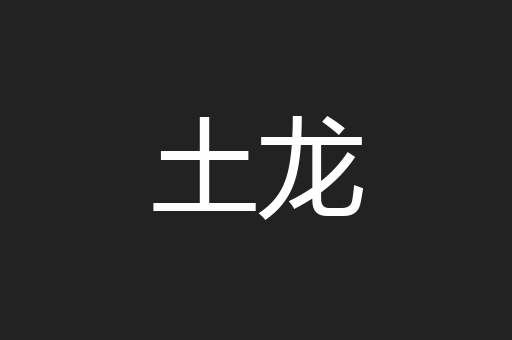 土龙