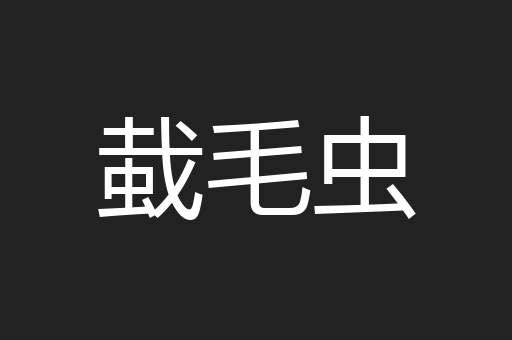 蛓毛虫