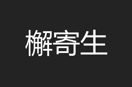 檞寄生