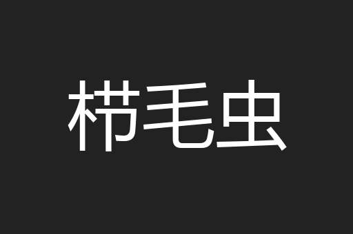 栉毛虫