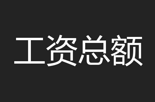 工资总额