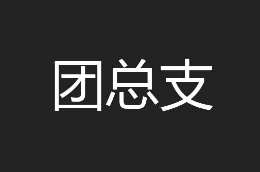 团总支