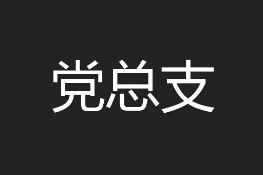 党总支